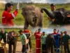 Bukan Sekadar Menjaga Gajah, Kilang Plaju Rawat Warisan Alam Sumsel