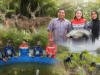 Kilang Plaju Jaga Rusa Sambar hingga Ikan Belida, 21 Ribu Mangrove Ditanam