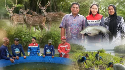 Kilang Plaju Jaga Rusa Sambar hingga Ikan Belida, 21 Ribu Mangrove Ditanam