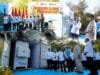 PLTS 100 GWp Diluncurkan, PLN Siap Kawal Swasembada Energi Nasional