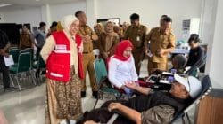 Stok Darah B dan AB Tipis, PMI Palembang Kekurangan 2.000 Kantong per Bulan