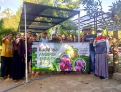 Pertamina Patra Niaga Regional Sumbagsel Kembangkan 23 Spesies Anggrek di Bukit Pinteir Bangka Tengah