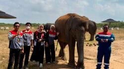 Karhutla Kepung Taman Nasional Way Kambas, Pertamina Patra Niaga Sumbagsel Bantu Logistik Petugas