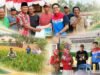 Mina Padi Kilang Plaju, Produktivitas Padi Petani Sungai Rebo Naik Jadi 7 Ton Setahun