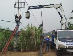 Semangat Sumpah Pemuda, PLN Hadir Tingkatkan Keandalan Listrik untuk Masyarakat Jambi melalui Rotasi Trafo